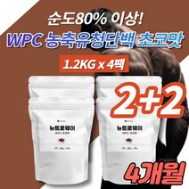 코스트코 가성비 단백질 보충제 파우더 벌크업 헬린이 프로틴 헬스 보조제 초코맛 포대 농축 유청 단백질 미국 WPC 아미노산 비타민 미네랄 스테비아, 4개, 1200g, 4개