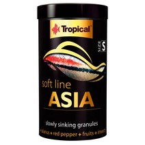 트로피칼 본사-소프트라인 아시아 사이즈S tin 100ml 50g 소프트라인, 1개