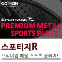 스포티지R C필러 윈도우커버 자동차 플레이트, 쿠팡 본상품선택