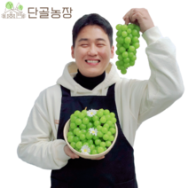 스테비아급 고당도 망고포도 샤인머스켓, 샤인머스켓 / 2.4kg / 왕특 / 3수