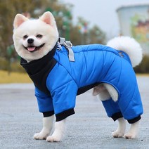 애견 방수 올인원 패딩점퍼 겨울 강아지옷 WI088DG, 블루