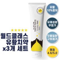 [시리고 아플땐 닥터옐로우] 10% 유황치약 x 3개 잇몸치료 잇몸피 염증 구취제거 유기농 허브 상쾌한 치약 120g