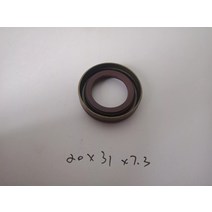 연료 오일 씰 20x31x7.3 펌프 개스킷 10 개