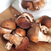 산지직송 무농약 송이 참송이버섯 가정용 선물용 200g 500g 1kg, 가정용참송이 500g