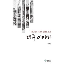 대구 이야기:국난기의 사건과 인물로 보는, 푸른사상, 정영진