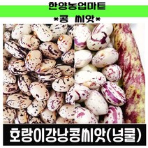 콩-호랑이콩 200g 호랑이강낭콩/넝쿨성/넝쿨/덩쿨/덩굴강낭콩/씨앗/종자, 1개