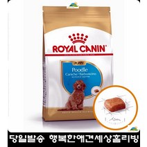 주니어푸들 웰빙 영양 강아지사료 어린강아지사료 사료잘안먹는강아지 도베르만사료