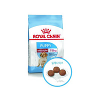 로얄캐닌 미디엄주니어 애견사료, 본상품선택-1, 본상품선택-1