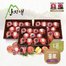 산지애 2023년 햇사과 홍로 9kg (3kg*3박스) / 대과, 단품