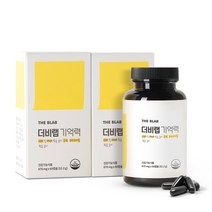 더비랩 기억력 영양제, 60캡슐 140g, 2개, 60정