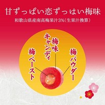 [일본직구] 롯데 Koume 매실맛 새콤달콤한 68g 10pack, 상세참조, 수량