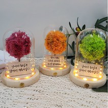 메세지 각인 스칸디아모스 무드등 만들기 DIY 키트, 진핑크_폰트3