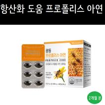 광동 프로폴리스 아연 600mg 60캡슐, 1개, 36g