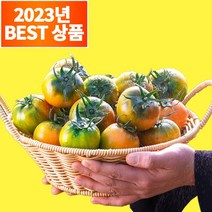 농수산특별시 당도보장 부산 대저 짭짤이 토마토, 2.5kg 로얄과 (S-2S), 1박스