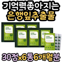 고3 수험생 면역력강화 기억력에좋은 은행잎추출물 비타민E 징코 혈행 기억력 개선 항산화 두뇌건강 플라보놀배당체 GINKGO 대두레시틴 고2 고등학생 고시생 학생 필수 영양제 홈쇼핑