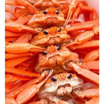 포항 홍게 제철 국내산 박달홍게 산지직송 3kg, 박달형 홍게 특대(500g)3마리
