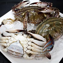 서해안 자연산 생물암꽃게1kg(2~4미내외), 단품