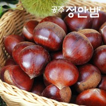 [푸드마인] 22년 공주밤 정안 알밤 4kg(대품) 햇밤, 상세 설명 참조, 상세 설명 참조