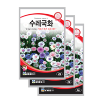 수레국화 씨앗 2g 3봉 센토레아 콘플라워 종자 cornflower knapweed seed, 4개