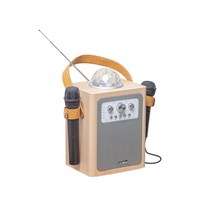 코시 SP2121MKBT 버스킹 블루투스 노래방 앰프 스피커 마이크, 2121