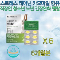 여자 남자 스트레스 해소 정신 건강 테아닌 카모마일 걱정 불안 불안함 불안감 긴장 긴장감 해소 완화 해소법 완화제 캐모마일 녹차잎 중년 중장년 노년 노인 시니어 실버 화병 영양제