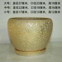 금색 골드 화분 빈화분 대형 둥근 원형 실버 은색 화이트 흰색 펄 인테리어 럭셔리, 골드 연꽃잎 원형 도자기 + 도자기
