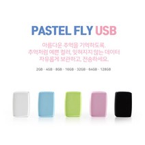 이앤디몰 FLY USB 메모리 2GB/파스텔톤/USB2.0/미니멀 사이즈 슬라이드형, 블랙