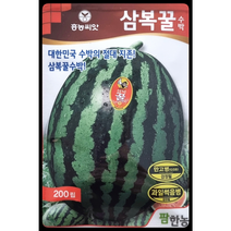 삼복꿀수박씨앗200립 수박씨앗 팜한농