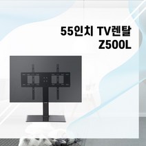 예담 TV55인치+ 낮은 스탠드 3일렌탈 박람회 전시회 공연장 방송 각종행사등, TV55인치+Z500M