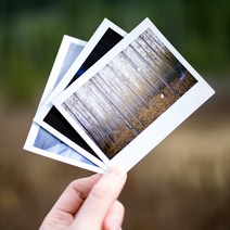 3x5 부터 A4사이즈 웨딩 포토테이블 사진인화 액자용 사진 출력