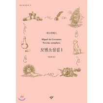 모범소설집 1, 창비, 세르반떼스 저/민용태 역