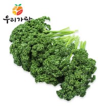 [우리가락]파슬리 250g, 단품