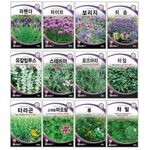 오레가노 유칼립투스 라벤다 오레가노 라벤다 로즈마리 페퍼민트 보리지 허브씨앗 타임 바질 카모마일 차이브 딜 레몬밤 세이지 히솝 소렐 유칼립투스 키우기 심기 재배 정원가꾸기, 세이지 20립