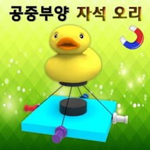 자석 공중부양 오리 (1인용) 공중부양 오리 만들기교구 과학교구