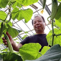 오이 백다다기 상주 오이지 취정 백오이 다다기 조선 5kg 10kg 피클용 못난이, 백오이 상, 5kg 25개 내외