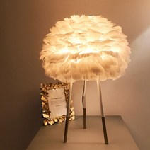 깃털 장스탠드 조명 무드등 인테리어 거실 침실 플로어 램프 독서등, 옵션, L-8055 깃털 램프 16W