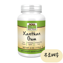 나우푸드 잔탄 검 퓨어 파우더 170g 1통, 1개