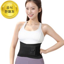 올바인 허리보호대 복대 헬스 허리운동 AL-A01, 1개