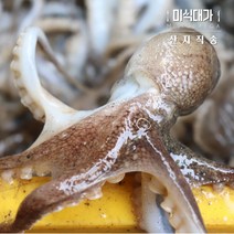 국산 생물쭈꾸미 활 쭈꾸미 볶음 샤브샤브, 활쭈꾸미 2kg