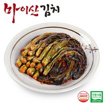 한국농협김치 전북 마이산김치 갓김치 1kgx2팩, 2개, 상세설명 참조