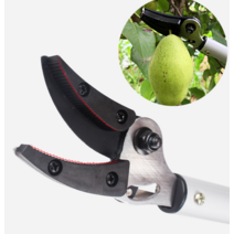 과일따기체험사과귤감 제주도농장과일수확기 장대집게