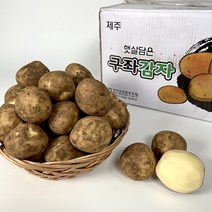 [기린]당일발송 품질보장 12월수확 국내산감자 햇감자 수미감자 2kg 3kg 5kg 1BOX, 23년햇감자, 왕특(큰사이즈)
