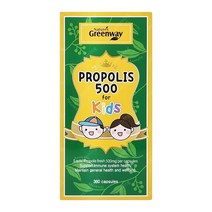 네이쳐스그린웨이 키즈 어린이용 프로폴리스 500mg 360정