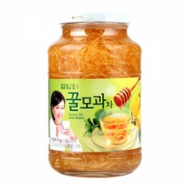 담터 꿀모과차 1Kgx1개, 1kg, 1개, 1개