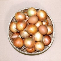 유기농 장아찌용 흰양파 자색양파 9kg ( 23년산 ), 1박스, 장아찌용 흰양파(계란크기) 9kg
