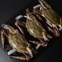 국내산 꽃게 선물세트 태안 암꽃게1Kg(3-5미) 23년 봄꽃게 출하