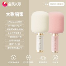 마이크 무선 노래방 휴대용 블루투스, 공식 표준, 세트2