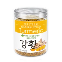 퓨어영 강황환 300g두달분 약5000정, 300g, 1통