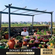 스카이어닝 테라스썬룸 루프탑 조립식 파고라 캐노피, 3x3m 프레임