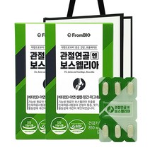 프롬바이오 관절연골 엔 보스웰리아 쇼핑백포함, 850mg x 30정 2박스